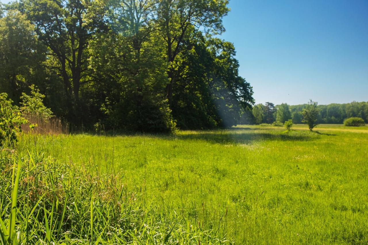 Palac Krobielowice Kąty Wrocławskie エクステリア 写真